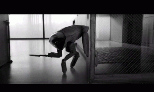 1759555746564-howit.gif